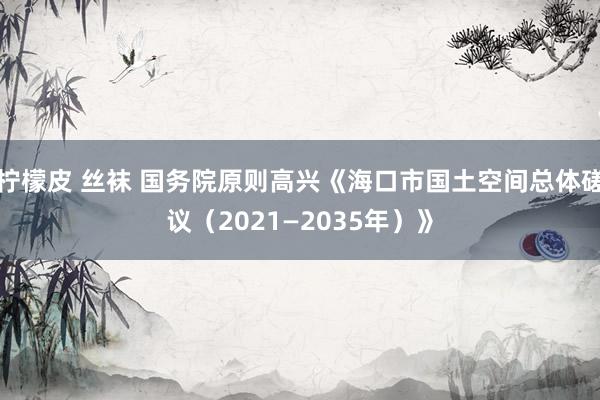 柠檬皮 丝袜 国务院原则高兴《海口市国土空间总体磋议（2021—2035年）》