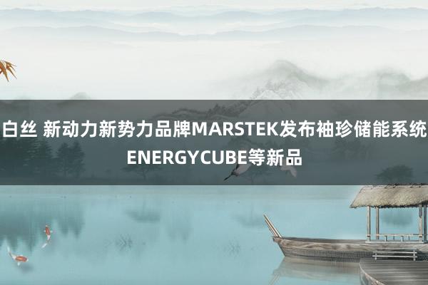 白丝 新动力新势力品牌MARSTEK发布袖珍储能系统ENERGYCUBE等新品