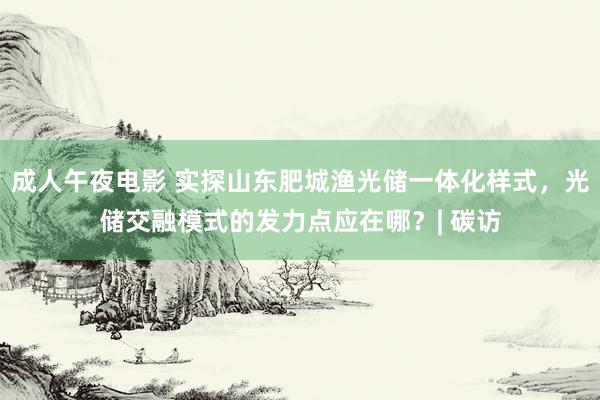 成人午夜电影 实探山东肥城渔光储一体化样式，光储交融模式的发力点应在哪？| 碳访