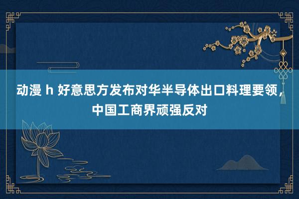 动漫 h 好意思方发布对华半导体出口料理要领，中国工商界顽强反对