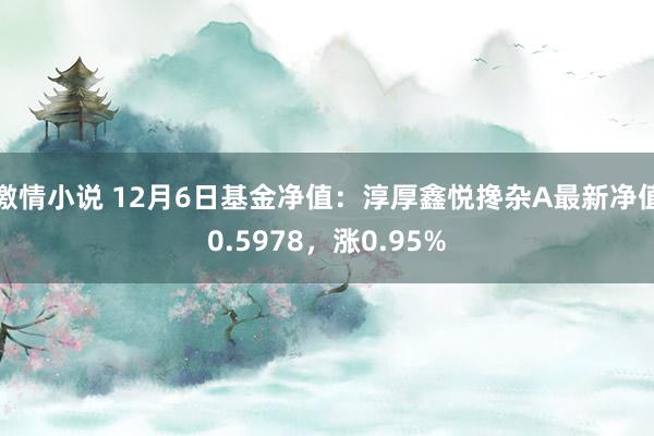 激情小说 12月6日基金净值：淳厚鑫悦搀杂A最新净值0.5978，涨0.95%