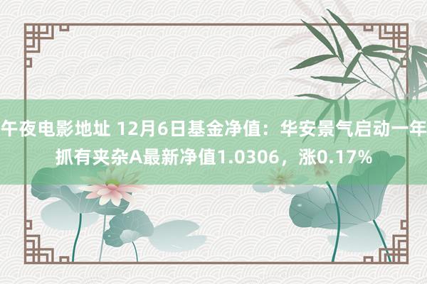 午夜电影地址 12月6日基金净值：华安景气启动一年抓有夹杂A最新净值1.0306，涨0.17%