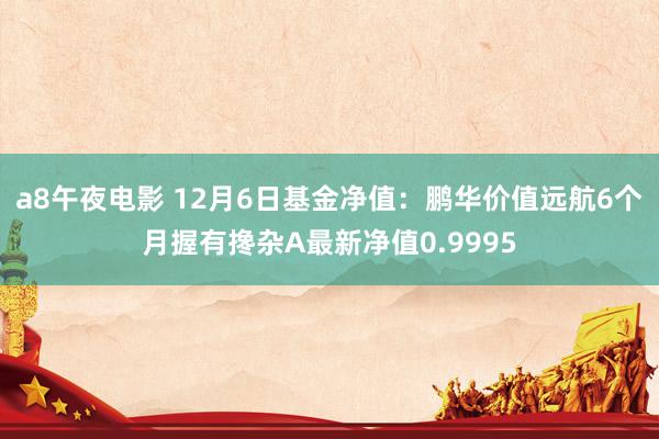 a8午夜电影 12月6日基金净值：鹏华价值远航6个月握有搀杂A最新净值0.9995