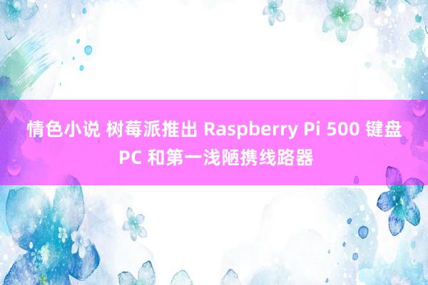 情色小说 树莓派推出 Raspberry Pi 500 键盘 PC 和第一浅陋携线路器