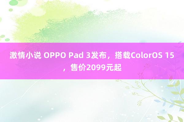 激情小说 OPPO Pad 3发布，搭载ColorOS 15，售价2099元起