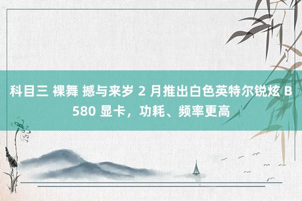 科目三 裸舞 撼与来岁 2 月推出白色英特尔锐炫 B580 显卡，功耗、频率更高