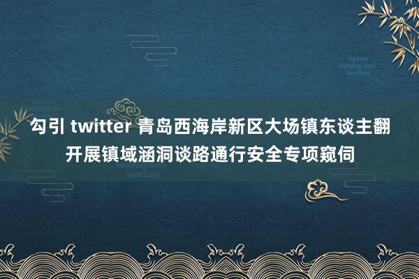 勾引 twitter 青岛西海岸新区大场镇东谈主翻开展镇域涵洞谈路通行安全专项窥伺