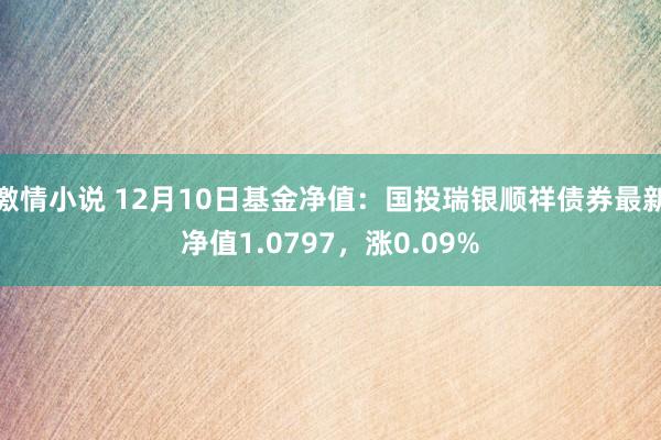 激情小说 12月10日基金净值：国投瑞银顺祥债券最新净值1.0797，涨0.09%