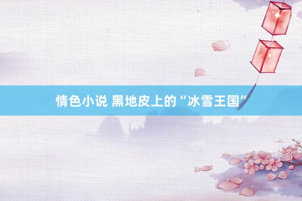 情色小说 黑地皮上的“冰雪王国”