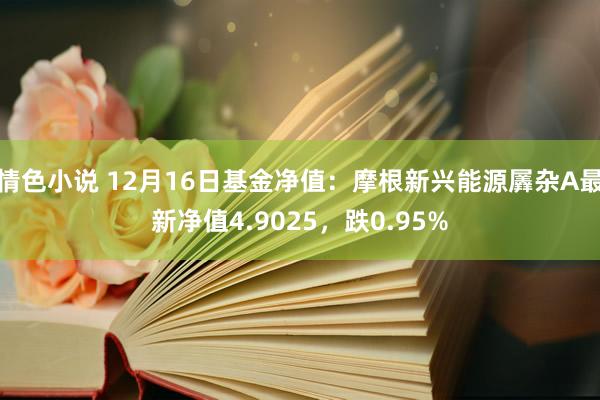 情色小说 12月16日基金净值：摩根新兴能源羼杂A最新净值4.9025，跌0.95%