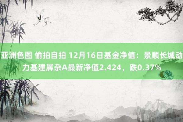 亚洲色图 偷拍自拍 12月16日基金净值：景顺长城动力基建羼杂A最新净值2.424，跌0.37%