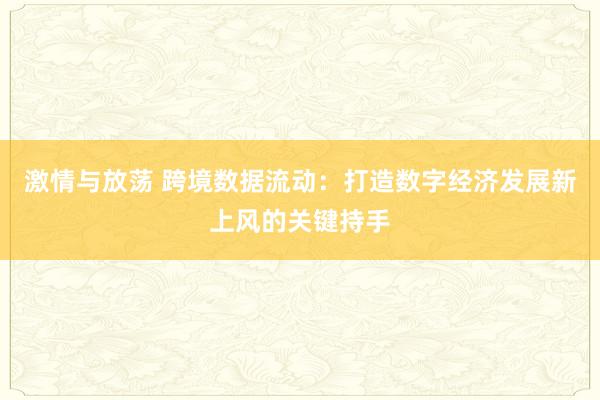 激情与放荡 跨境数据流动：打造数字经济发展新上风的关键持手