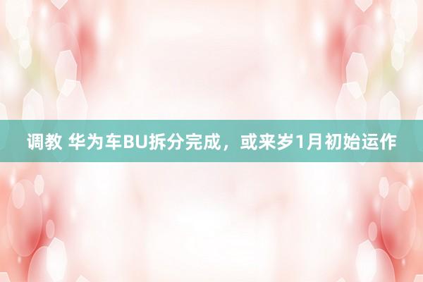 调教 华为车BU拆分完成，或来岁1月初始运作