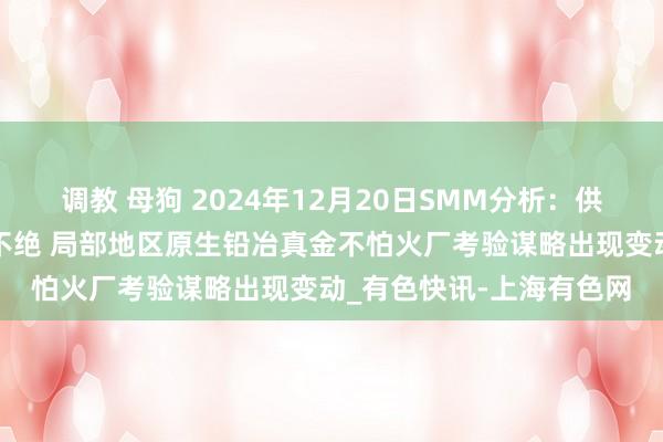 调教 母狗 2024年12月20日SMM分析：供应端环保限产音书连绵不绝 局部地区原生铅冶真金不怕火厂考验谋略出现变动_有色快讯-上海有色网