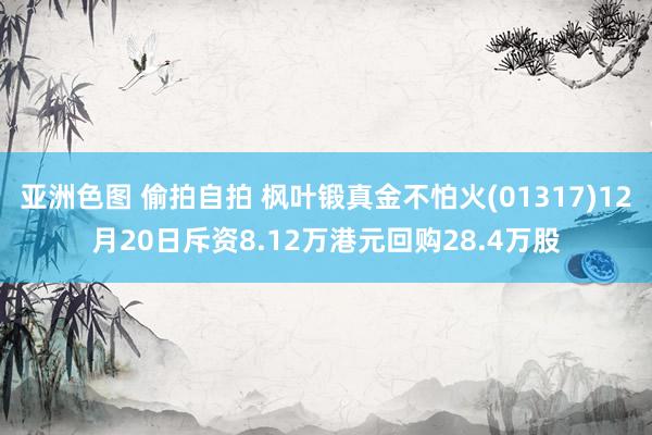 亚洲色图 偷拍自拍 枫叶锻真金不怕火(01317)12月20日斥资8.12万港元回购28.4万股