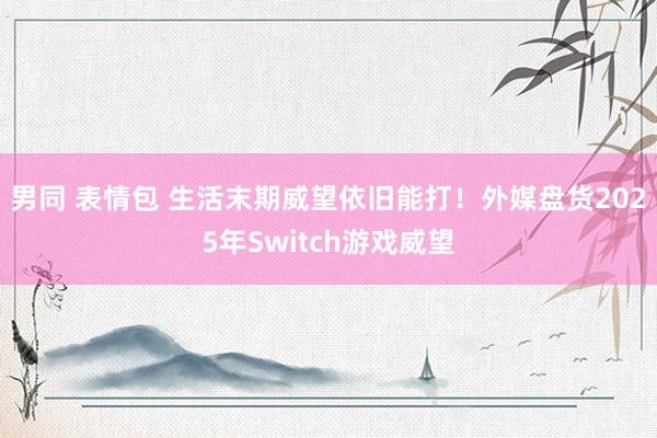 男同 表情包 生活末期威望依旧能打！外媒盘货2025年Switch游戏威望