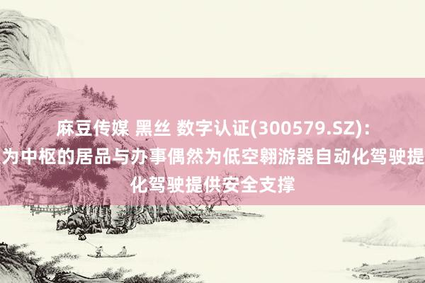 麻豆传媒 黑丝 数字认证(300579.SZ)：以密码工夫为中枢的居品与办事偶然为低空翱游器自动化驾驶提供安全支撑