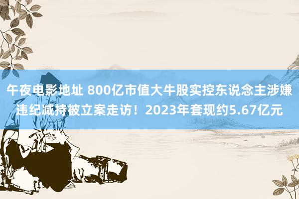 午夜电影地址 800亿市值大牛股实控东说念主涉嫌违纪减持被立案走访！2023年套现约5.67亿元