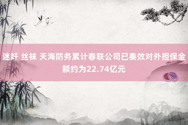 迷奸 丝袜 天海防务累计春联公司已奏效对外担保金额约为22.74亿元