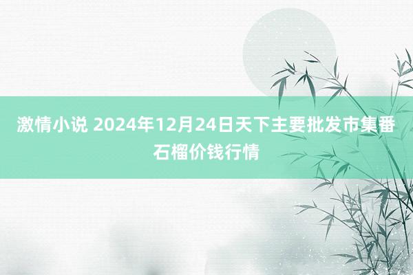 激情小说 2024年12月24日天下主要批发市集番石榴价钱行情