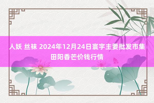 人妖 丝袜 2024年12月24日寰宇主要批发市集田阳香芒价钱行情