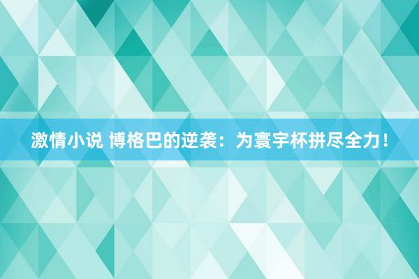 激情小说 博格巴的逆袭：为寰宇杯拼尽全力！