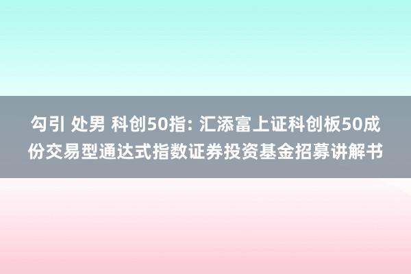 勾引 处男 科创50指: 汇添富上证科创板50成份交易型通达式指数证券投资基金招募讲解书