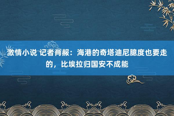 激情小说 记者肖赧：海港的奇塔迪尼臆度也要走的，比埃拉归国安不成能