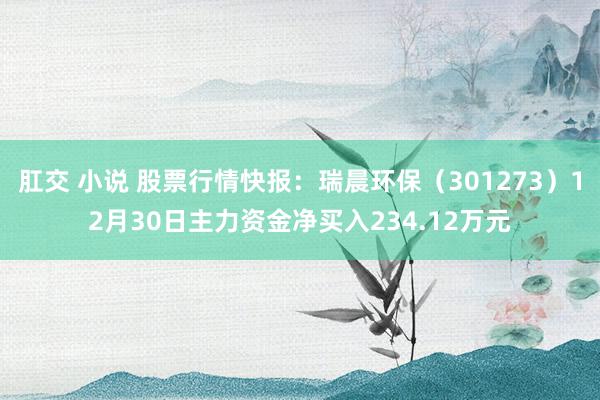 肛交 小说 股票行情快报：瑞晨环保（301273）12月30日主力资金净买入234.12万元