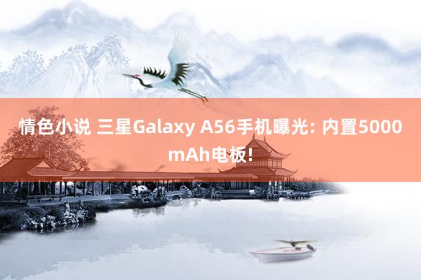 情色小说 三星Galaxy A56手机曝光: 内置5000mAh电板!