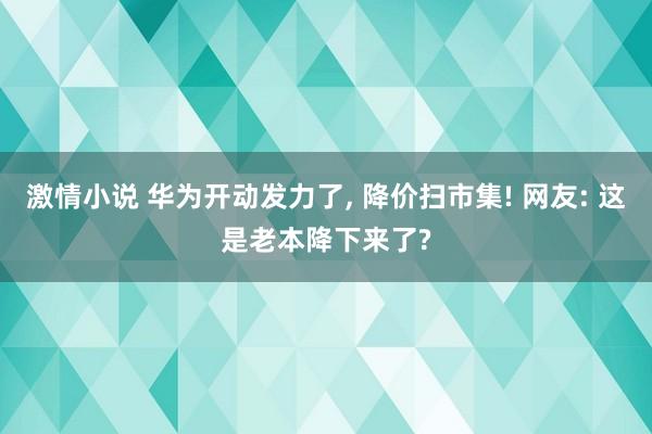 激情小说 华为开动发力了， 降价扫市集! 网友: 这是老本降下来了?