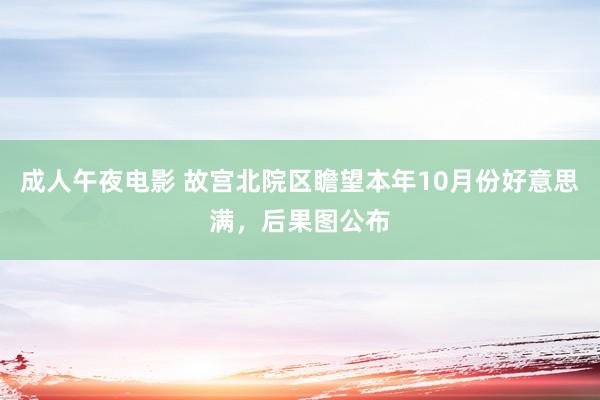 成人午夜电影 故宫北院区瞻望本年10月份好意思满，后果图公布