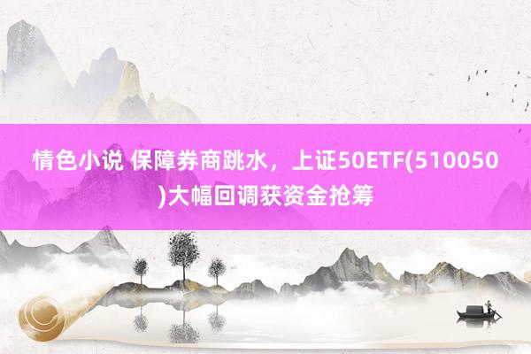 情色小说 保障券商跳水，上证50ETF(510050)大幅回调获资金抢筹