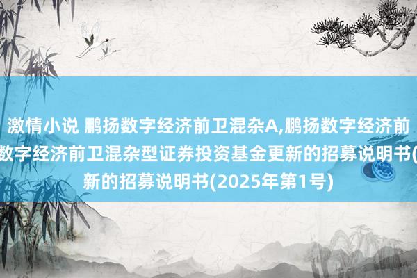 激情小说 鹏扬数字经济前卫混杂A，鹏扬数字经济前卫混杂C: 鹏扬数字经济前卫混杂型证券投资基金更新的招募说明书(2025年第1号)