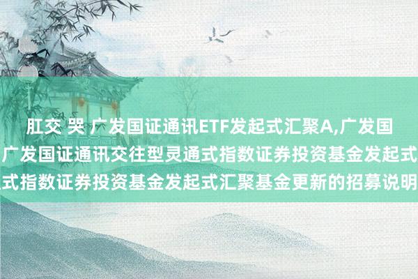 肛交 哭 广发国证通讯ETF发起式汇聚A，广发国证通讯ETF发起式汇聚C: 广发国证通讯交往型灵通式指数证券投资基金发起式汇聚基金更新的招募说明书