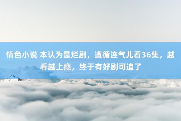 情色小说 本认为是烂剧，遵循连气儿看36集，越看越上瘾，终于有好剧可追了