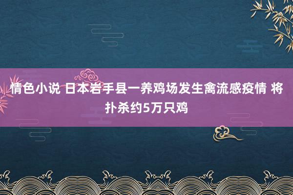 情色小说 日本岩手县一养鸡场发生禽流感疫情 将扑杀约5万只鸡