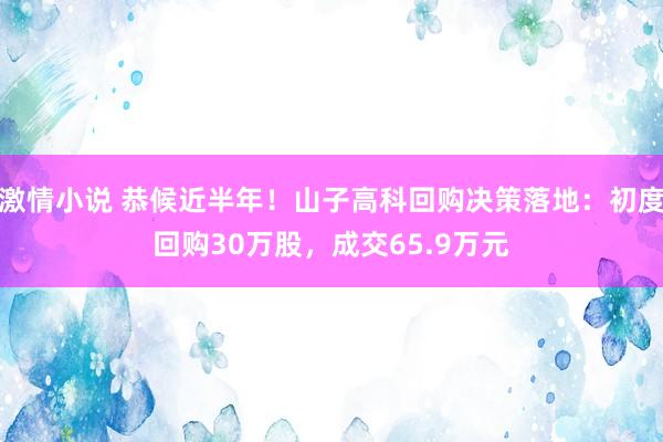 激情小说 恭候近半年！山子高科回购决策落地：初度回购30万股，成交65.9万元