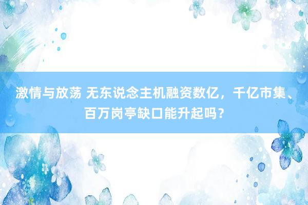 激情与放荡 无东说念主机融资数亿，千亿市集、百万岗亭缺口能升起吗？