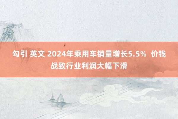 勾引 英文 2024年乘用车销量增长5.5%  价钱战致行业利润大幅下滑