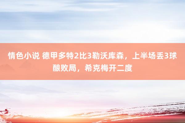 情色小说 德甲多特2比3勒沃库森，上半场丢3球酿败局，希克梅开二度