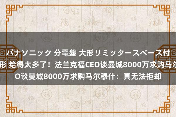 パナソニック 分電盤 大形リミッタースペース付 露出・半埋込両用形 给得太多了！法兰克福CEO谈曼城8000万求购马尔穆什：真无法拒却