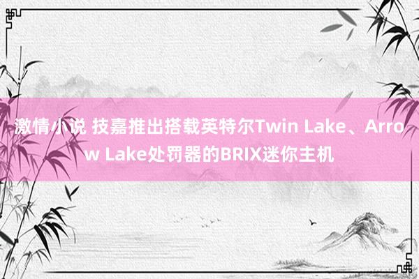 激情小说 技嘉推出搭载英特尔Twin Lake、Arrow Lake处罚器的BRIX迷你主机