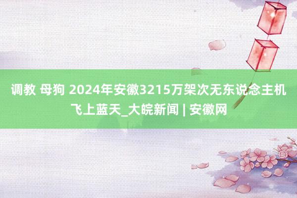 调教 母狗 2024年安徽3215万架次无东说念主机飞上蓝天_大皖新闻 | 安徽网