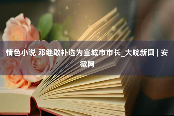 情色小说 邓继敢补选为宣城市市长_大皖新闻 | 安徽网