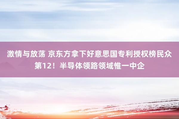 激情与放荡 京东方拿下好意思国专利授权榜民众第12！半导体领路领域惟一中企