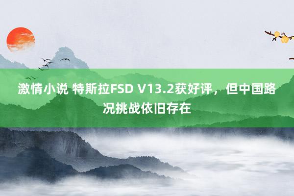 激情小说 特斯拉FSD V13.2获好评，但中国路况挑战依旧存在